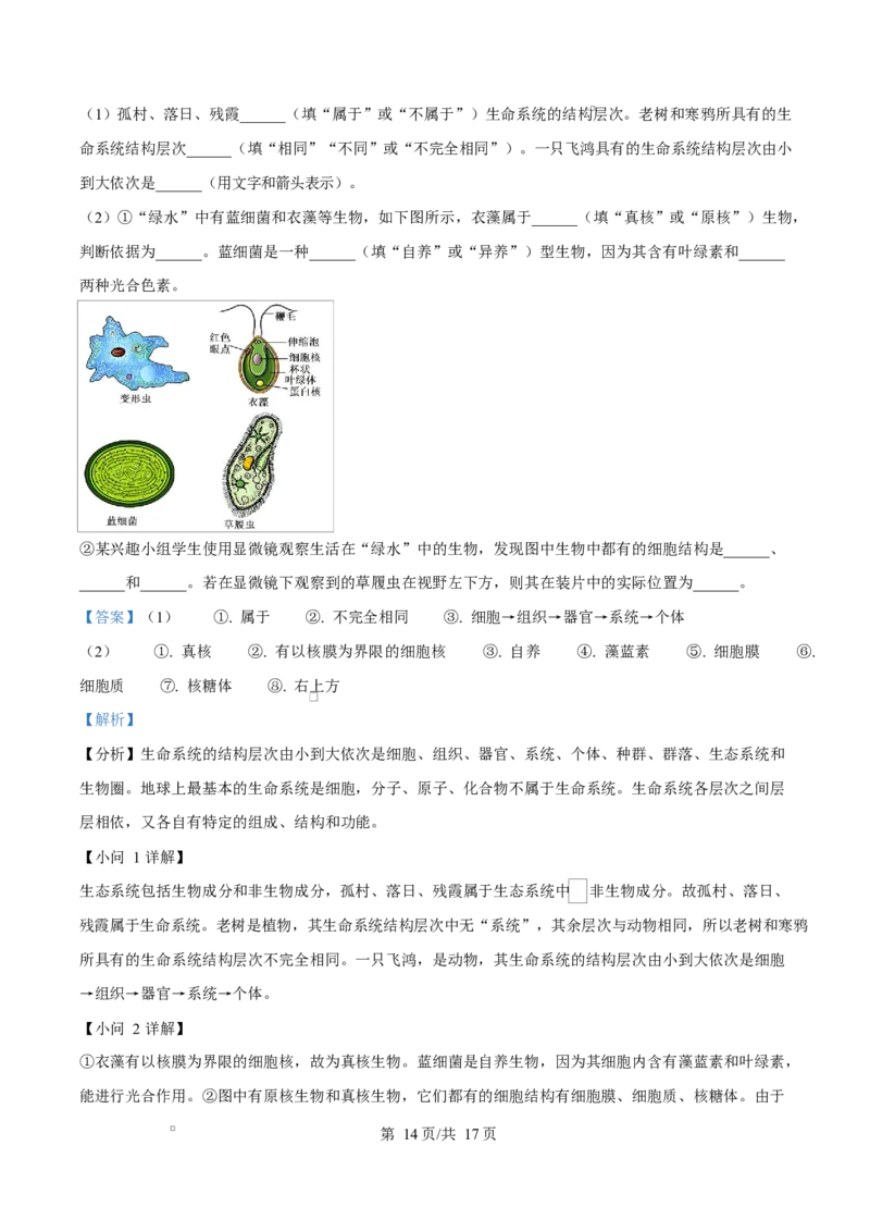 重庆市长寿中学2025-2026学年高一上学期11月期中生物试题Word版含解析_2025年11月高一试卷_251125重庆市长寿中学2025-2026学年高一上学期11月期中（全）