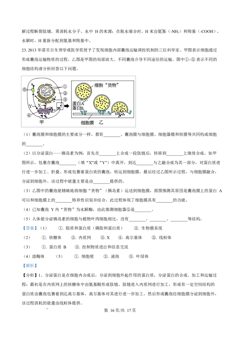 重庆市长寿中学2025-2026学年高一上学期11月期中生物试题Word版含解析_2025年11月高一试卷_251125重庆市长寿中学2025-2026学年高一上学期11月期中（全）