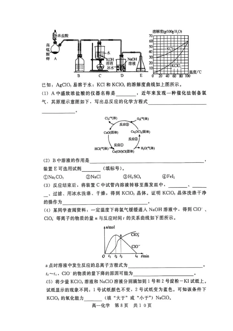 高一化学_2026年02月高一试卷_260206河北省邯郸市魏县NT20考试2025-2026学年高一上学期1月月考_河北省邯郸市魏县NT20考试2025-2026学年高一上学期1月月考化学试题（图片版，含解析）
