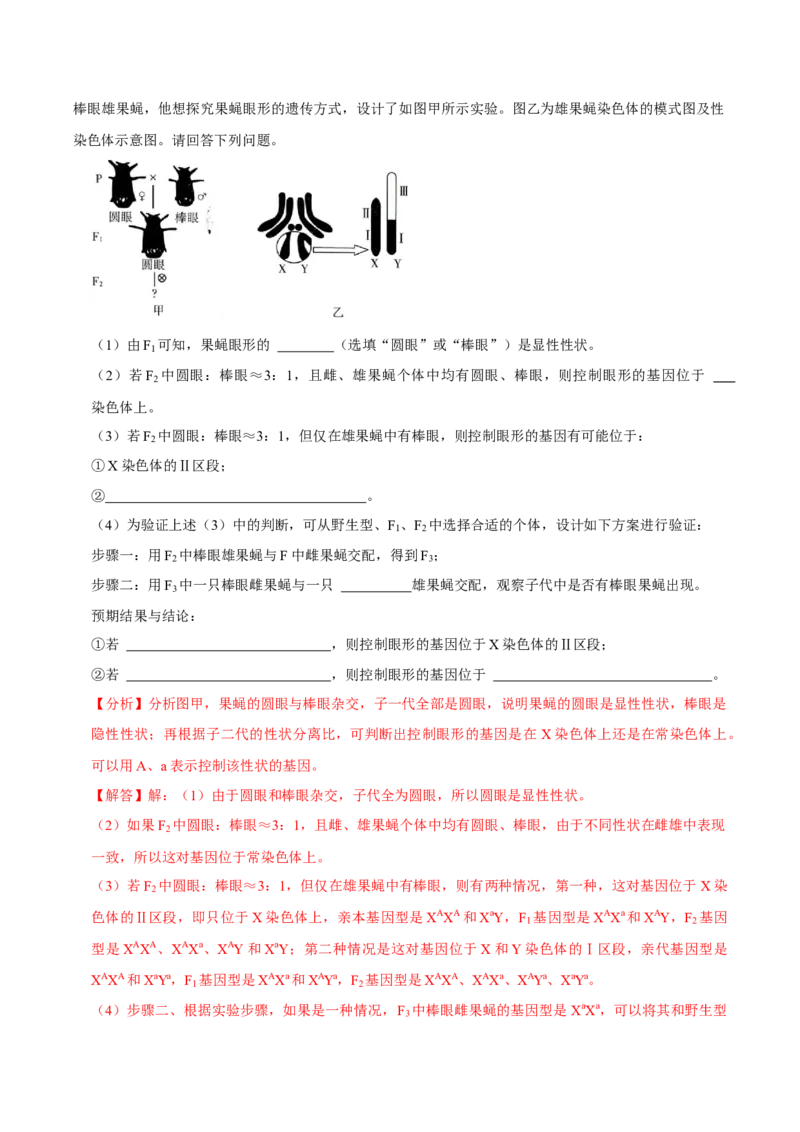 题型14妙用假说-演绎法，化解基因定位难题（题型归纳）（解析版）_新高考复习资料_2023年新高考复习资料_二轮复习_技巧点拨备战2023年高考生物二轮题型复习讲解286731240