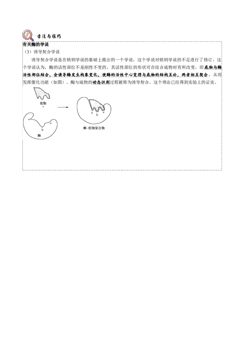 题型4与酶相关的实验设计与分析（题型归纳）（原卷版）_新高考复习资料_2023年新高考复习资料_二轮复习_技巧点拨备战2023年高考生物二轮题型复习讲解286731240