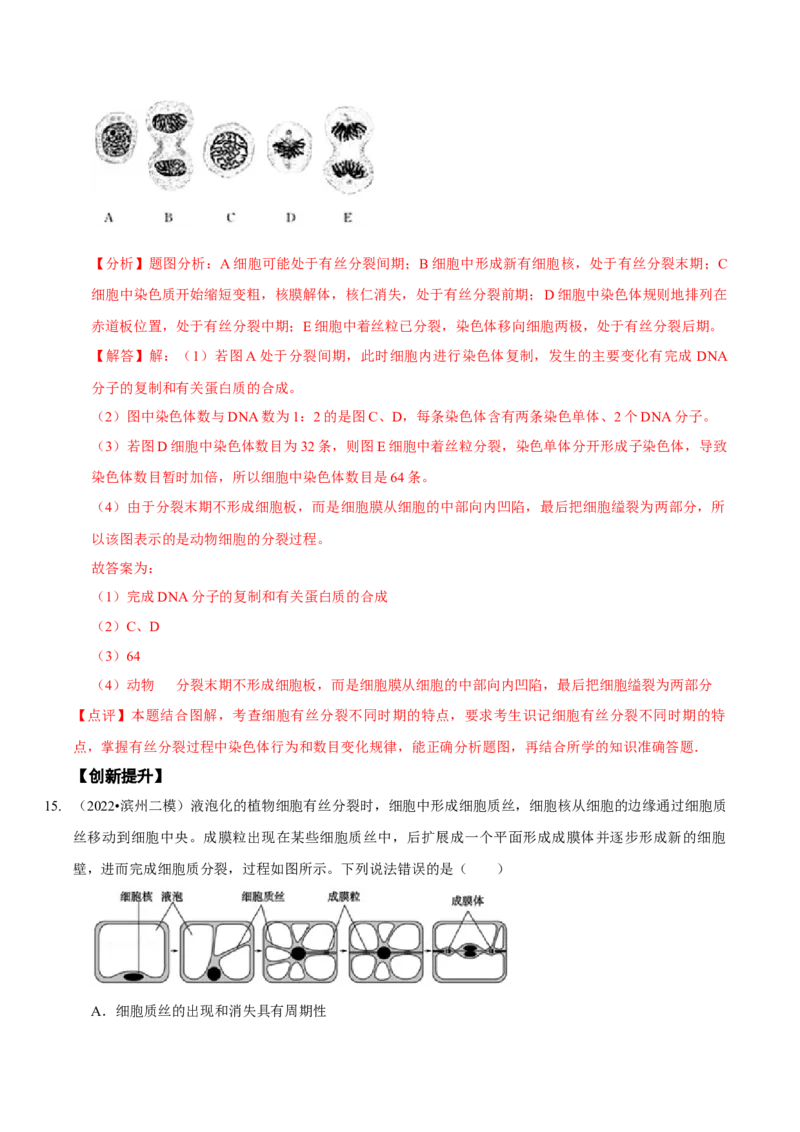 题型8细胞生命历程的易错辨析（题型集训）（解析版）_新高考复习资料_2023年新高考复习资料_二轮复习_技巧点拨备战2023年高考生物二轮题型复习讲解286731240