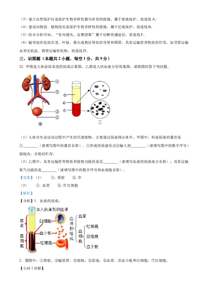 精品解析：2022年辽宁省沈阳市生物中考真题（解析版）_6生物中考复习_2025中考复习资料_中考真题（近三年）_2022年生物中考真题114份_精品解析：2022年辽宁省沈阳市生物中考真题