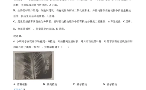 精品解析：2023年山东省泰安市中考生物真题（解析版）_new_6生物中考复习_2025中考复习资料_中考真题（近三年）_2023年生物中考真题