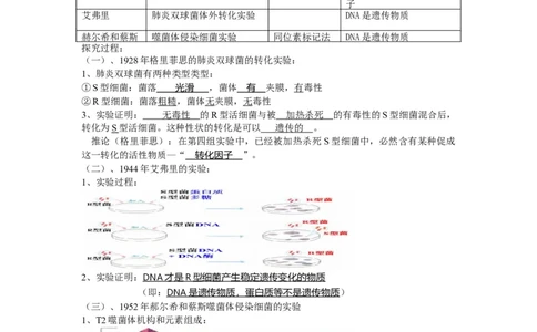 重难点10基因的本质（原卷版）_通用版（老高考）复习资料_2023年复习资料_专项复习_2023年高考生物热点&middot;重点&middot;难点专练（全国通用）