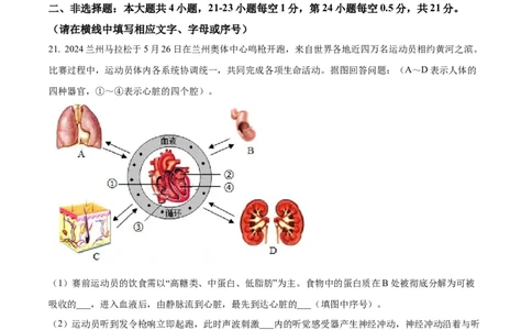 精品解析：2024年甘肃省兰州中考生物真题（原卷版）_new_6生物中考复习_2025中考复习资料_中考真题（近三年）_2024年生物中考真题