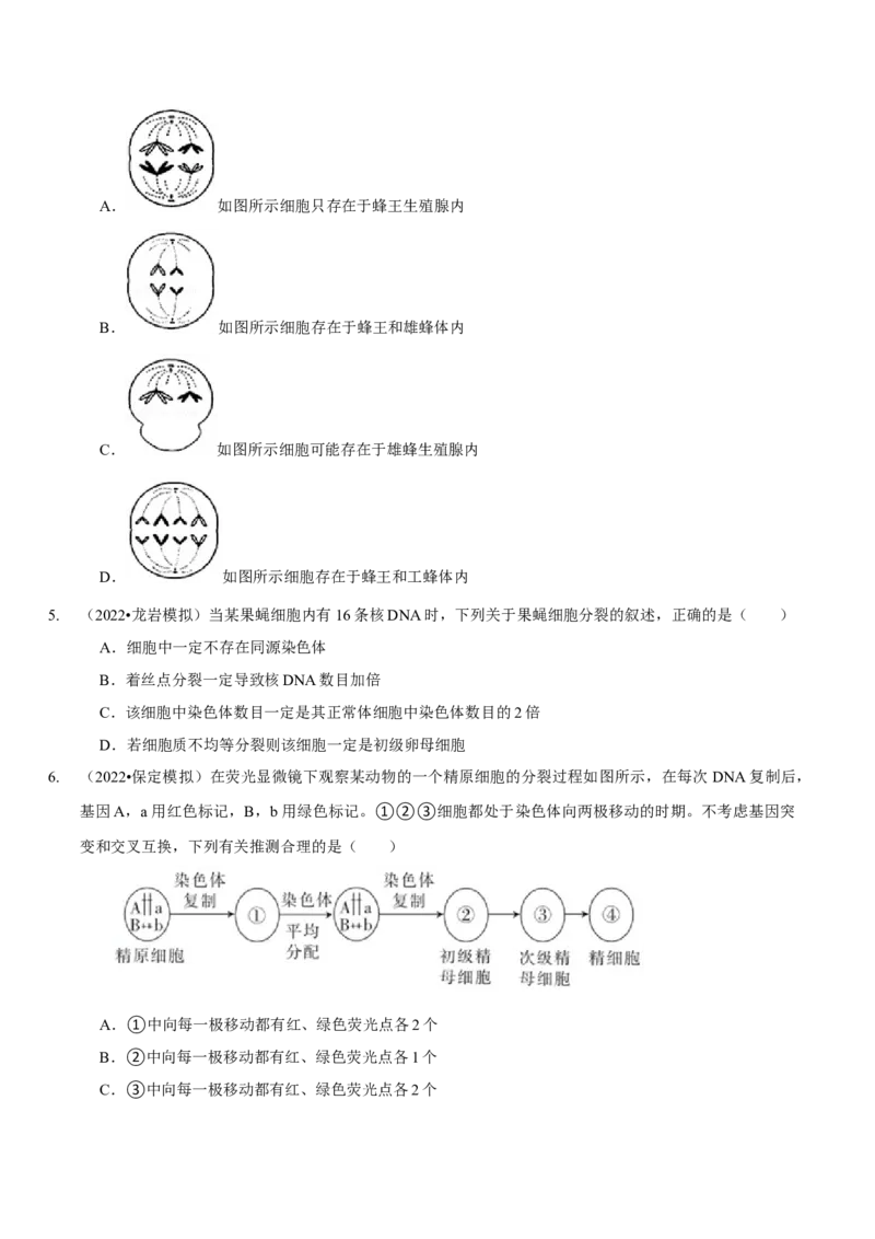 题型10构建模型，解减数分裂疑难问题（题型集训）（原卷版）_新高考复习资料_2023年新高考复习资料_二轮复习_技巧点拨备战2023年高考生物二轮题型复习讲解286731240