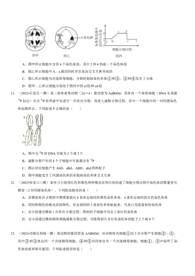 题型10构建模型，解减数分裂疑难问题（题型集训）（原卷版）_新高考复习资料_2023年新高考复习资料_二轮复习_技巧点拨备战2023年高考生物二轮题型复习讲解286731240