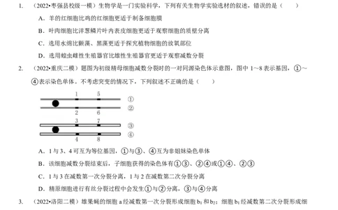 题型10构建模型，解减数分裂疑难问题（题型集训）（原卷版）_新高考复习资料_2023年新高考复习资料_二轮复习_技巧点拨备战2023年高考生物二轮题型复习讲解286731240