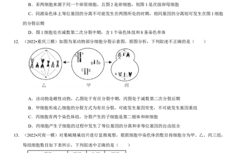 题型10构建模型，解减数分裂疑难问题（题型集训）（原卷版）_新高考复习资料_2023年新高考复习资料_二轮复习_技巧点拨备战2023年高考生物二轮题型复习讲解286731240