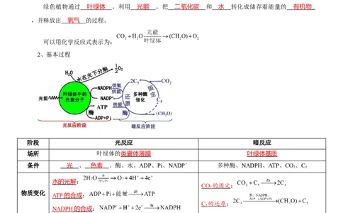 题型6从物质与能量视角探索光合作用（核心知识）（解析版）_新高考复习资料_2023年新高考复习资料_二轮复习_技巧点拨备战2023年高考生物二轮题型复习讲解286731240
