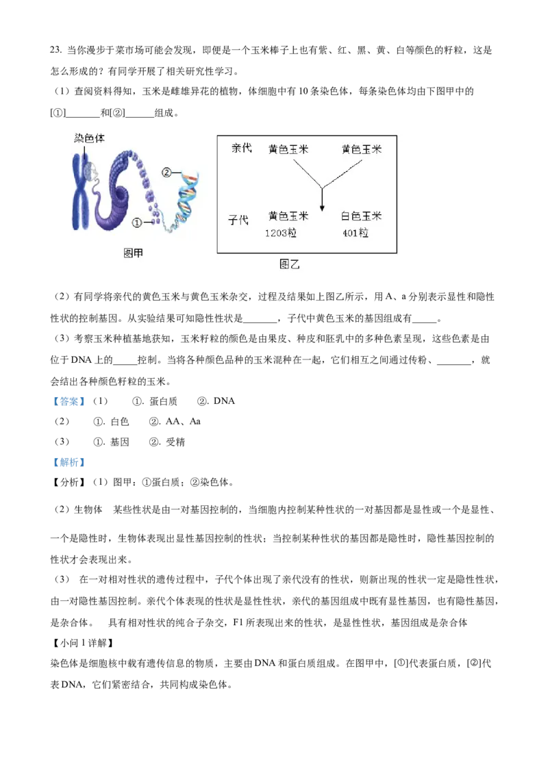 精品解析：2024年重庆市中考生物试题（解析版）_new_6生物中考复习_2025中考复习资料_中考真题（近三年）_2024年生物中考真题