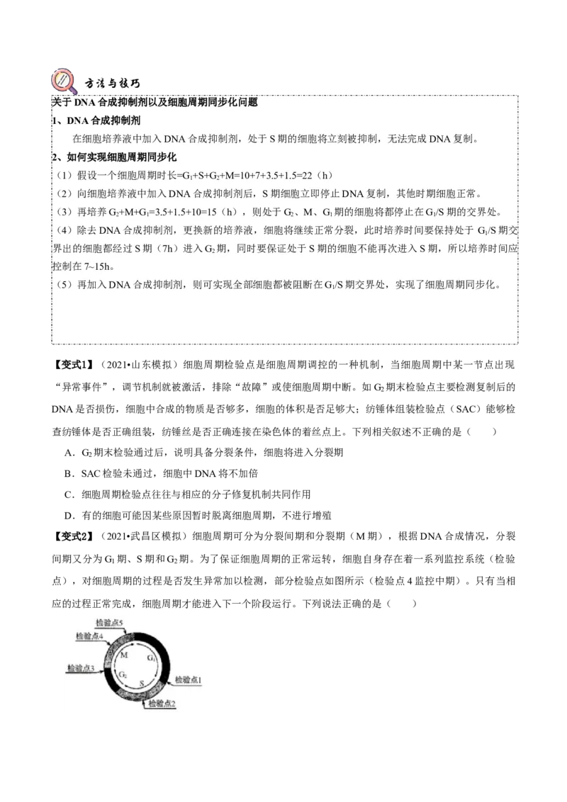 题型9与细胞周期有关的实验分析（题型归纳）（原卷版）_新高考复习资料_2023年新高考复习资料_二轮复习_技巧点拨备战2023年高考生物二轮题型复习讲解286731240