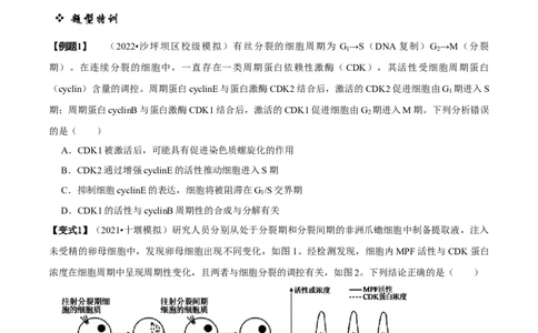 题型9与细胞周期有关的实验分析（题型归纳）（原卷版）_新高考复习资料_2023年新高考复习资料_二轮复习_技巧点拨备战2023年高考生物二轮题型复习讲解286731240