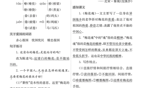 26春五年级语文下册核心考点清单_2026春人教语文《核心考点清单》