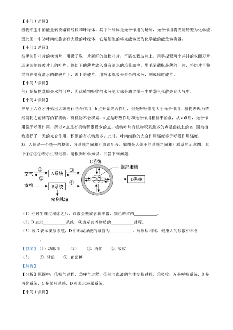 精品解析：2023年湖南省怀化市中考生物真题（解析版）_new_6生物中考复习_2025中考复习资料_中考真题（近三年）_2023年生物中考真题
