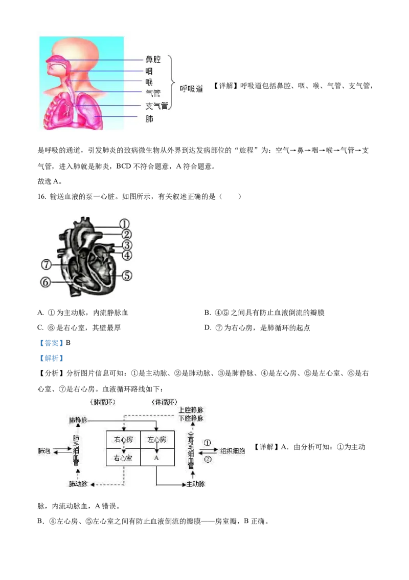 精品解析：2023年湖南省怀化市中考生物真题（解析版）_new_6生物中考复习_2025中考复习资料_中考真题（近三年）_2023年生物中考真题