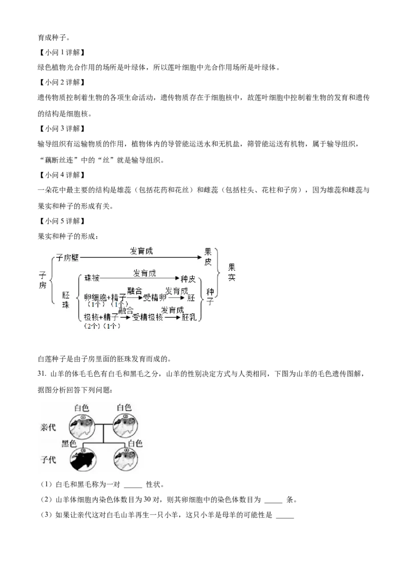 精品解析：2022年湖南省郴州市中考生物真题（解析版）_6生物中考复习_2025中考复习资料_中考真题（近三年）_2022年生物中考真题114份_精品解析：2022年湖南省郴州市中考生物真题