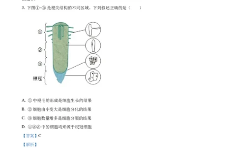 精品解析：2024年陕西省中考生物真题（解析版）_new_6生物中考复习_2025中考复习资料_中考真题（近三年）_2024年生物中考真题