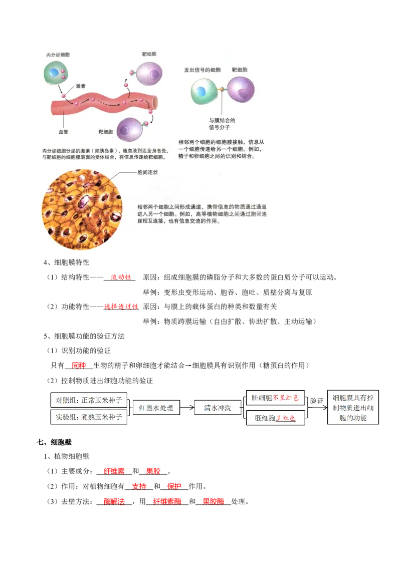 题型2细胞的结构与功能观（核心知识）（解析版）_新高考复习资料_2023年新高考复习资料_二轮复习_技巧点拨备战2023年高考生物二轮题型复习讲解286731240