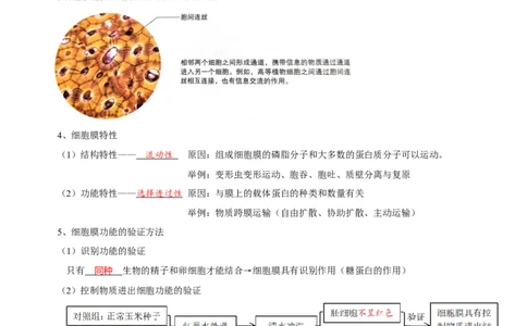 题型2细胞的结构与功能观（核心知识）（解析版）_新高考复习资料_2023年新高考复习资料_二轮复习_技巧点拨备战2023年高考生物二轮题型复习讲解286731240