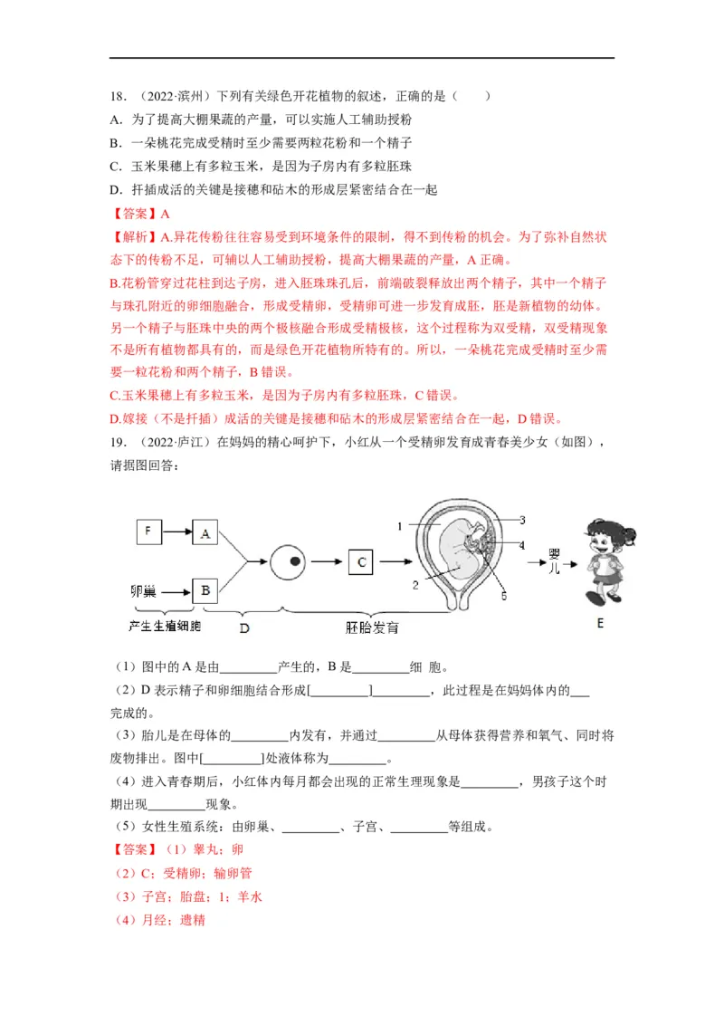 重难点07生物的生殖、发育与遗传变异（一）-2023年中考生物热点&middot;重点&middot;难点专练（全国通用）（解析版）_6生物中考复习_2023年中考复习资料_专项复习