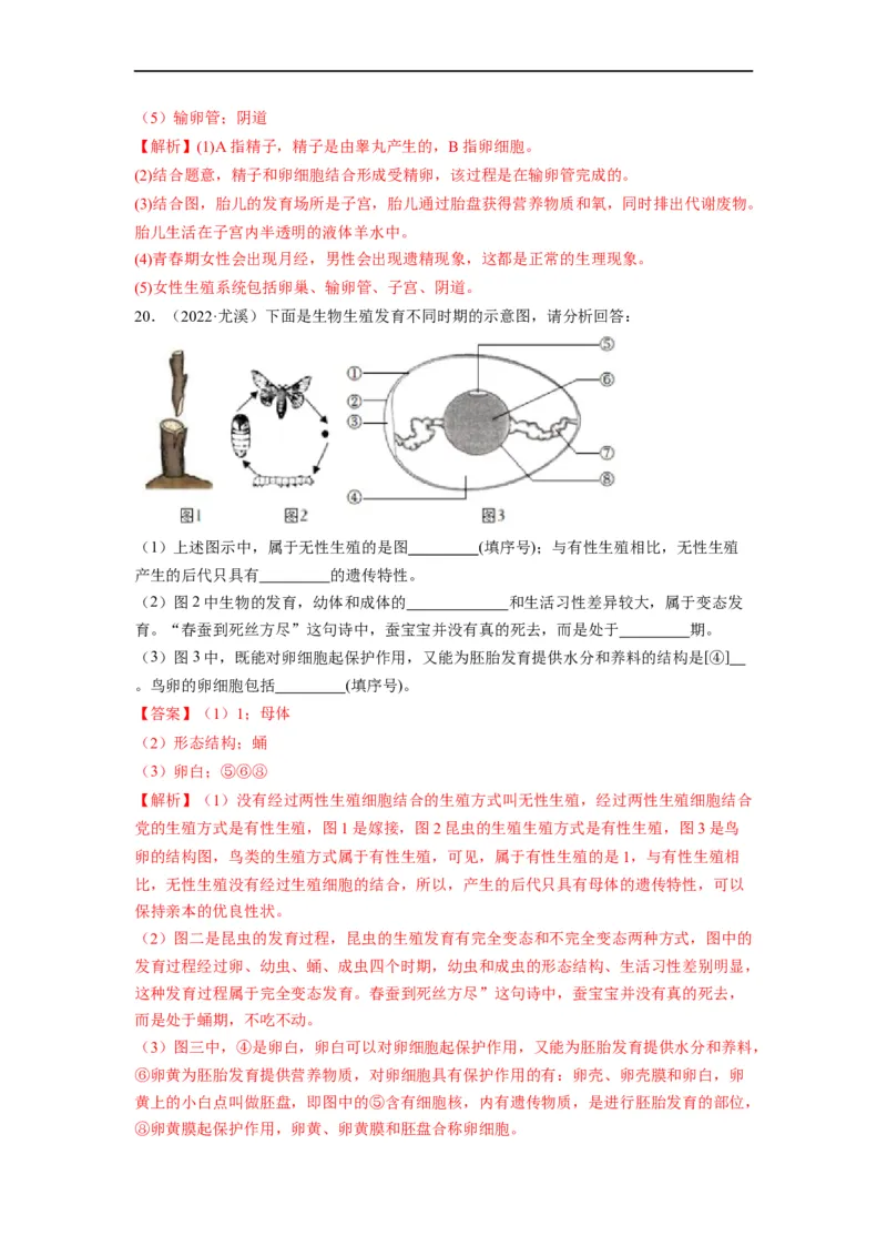 重难点07生物的生殖、发育与遗传变异（一）-2023年中考生物热点&middot;重点&middot;难点专练（全国通用）（解析版）_6生物中考复习_2023年中考复习资料_专项复习
