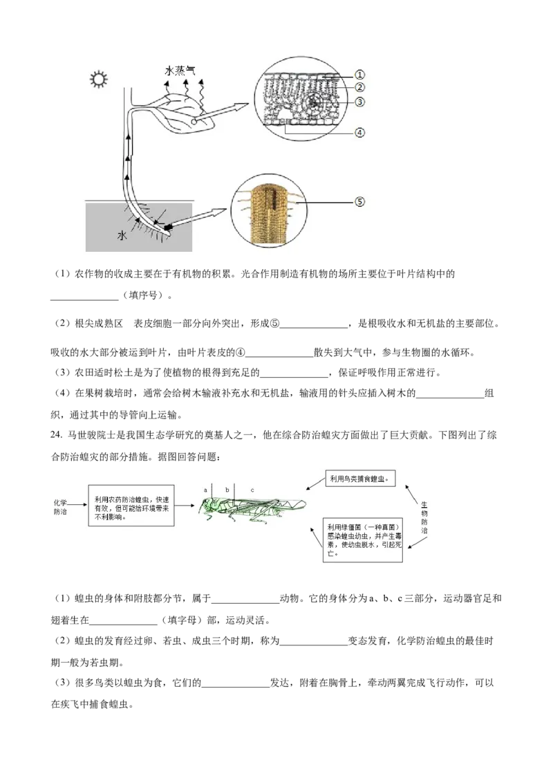 精品解析：2024年吉林省长春市中考生物真题（原卷版）_new_6生物中考复习_2025中考复习资料_中考真题（近三年）_2024年生物中考真题