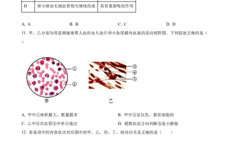 精品解析：2024年吉林省长春市中考生物真题（原卷版）_new_6生物中考复习_2025中考复习资料_中考真题（近三年）_2024年生物中考真题