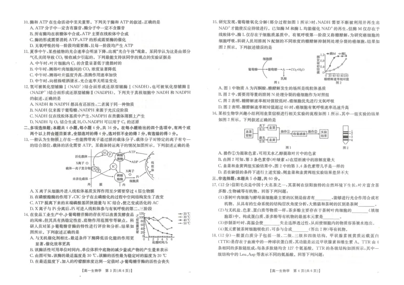 金太阳&middot;江西省2025一2026学年高一年级上学期学科期末素养训练生物_2026年02月高一试卷_260210金太阳&middot;江西省2025一2026学年高一年级上学期学科期末素养训练（26-237A）（全）