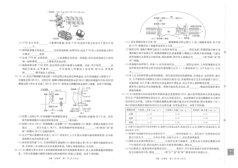 金太阳&middot;江西省2025一2026学年高一年级上学期学科期末素养训练生物_2026年02月高一试卷_260210金太阳&middot;江西省2025一2026学年高一年级上学期学科期末素养训练（26-237A）（全）