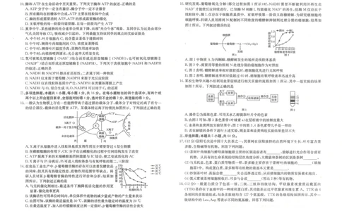 金太阳&middot;江西省2025一2026学年高一年级上学期学科期末素养训练生物_2026年02月高一试卷_260210金太阳&middot;江西省2025一2026学年高一年级上学期学科期末素养训练（26-237A）（全）