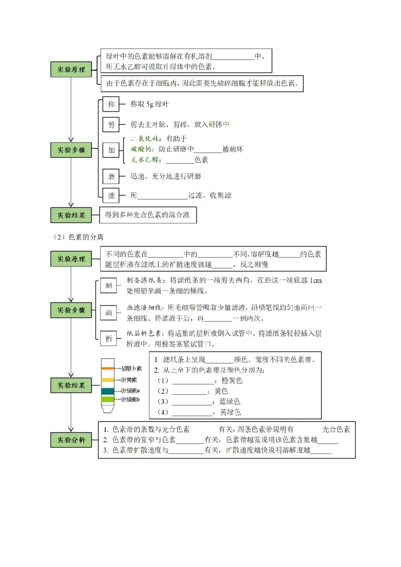 题型7光合作用与细胞呼吸相关的实验探究（核心知识）（原卷版）_新高考复习资料_2023年新高考复习资料_二轮复习_技巧点拨备战2023年高考生物二轮题型复习讲解286731240