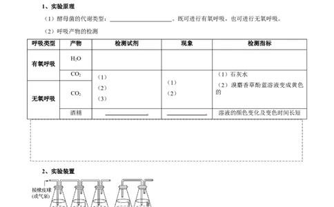 题型7光合作用与细胞呼吸相关的实验探究（核心知识）（原卷版）_新高考复习资料_2023年新高考复习资料_二轮复习_技巧点拨备战2023年高考生物二轮题型复习讲解286731240