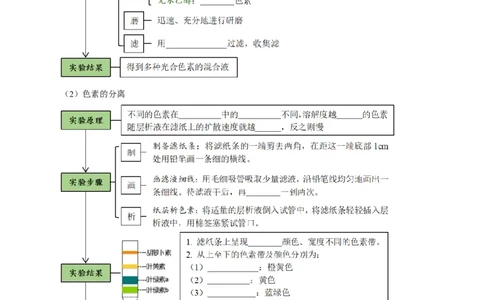 题型7光合作用与细胞呼吸相关的实验探究（核心知识）（原卷版）_新高考复习资料_2023年新高考复习资料_二轮复习_技巧点拨备战2023年高考生物二轮题型复习讲解286731240