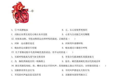 精品解析：2022年湖南省岳阳市中考生物真题（原卷版）_6生物中考复习_2025中考复习资料_中考真题（近三年）_2022年生物中考真题114份_精品解析：2022年湖南省岳阳市中考生物真题