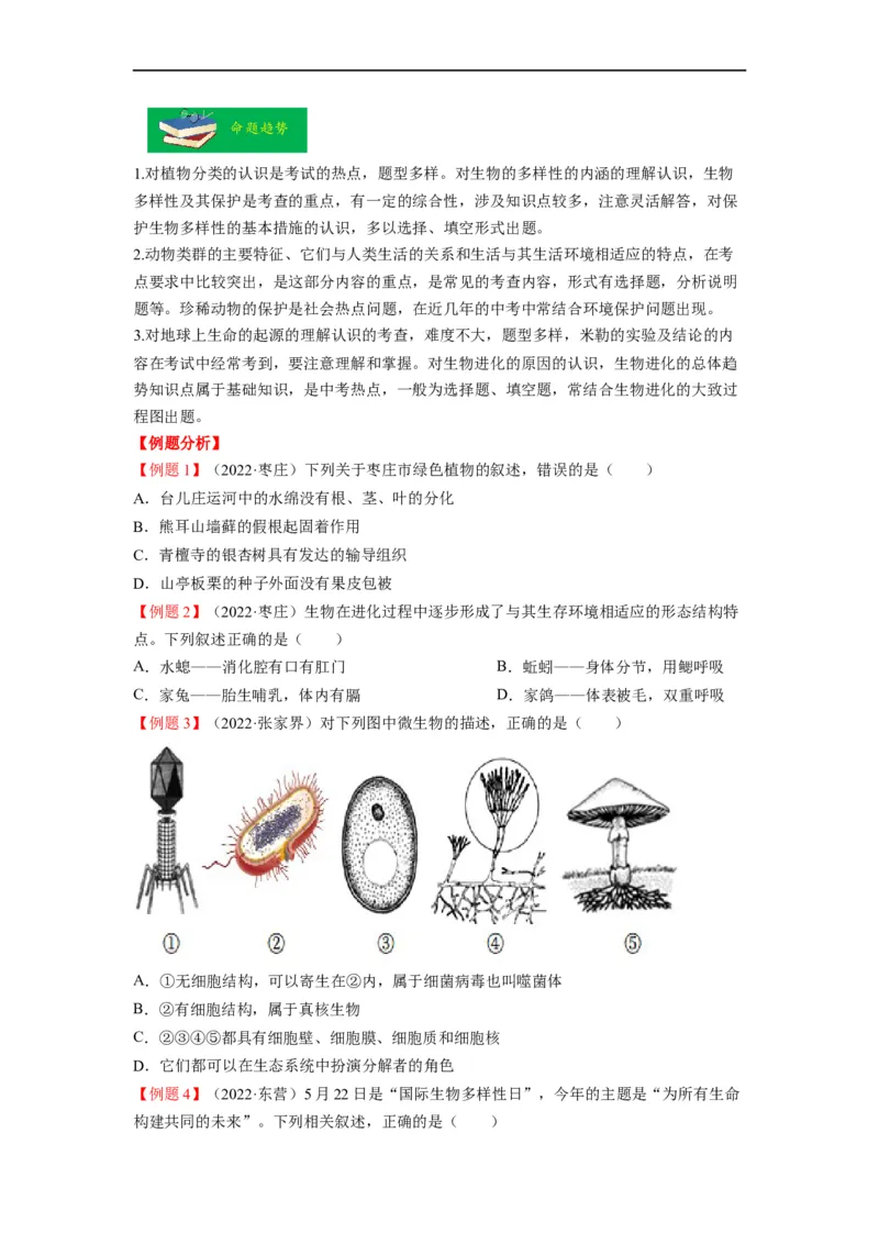 重难点08生物的多样性-2023年中考生物热点&middot;重点&middot;难点专练（全国通用）（原卷版）_6生物中考复习_2023年中考复习资料_专项复习_2023年中考生物热点&middot;重点&middot;难点专练（全国通用）