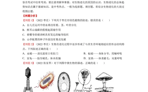 重难点08生物的多样性-2023年中考生物热点&middot;重点&middot;难点专练（全国通用）（原卷版）_6生物中考复习_2023年中考复习资料_专项复习_2023年中考生物热点&middot;重点&middot;难点专练（全国通用）