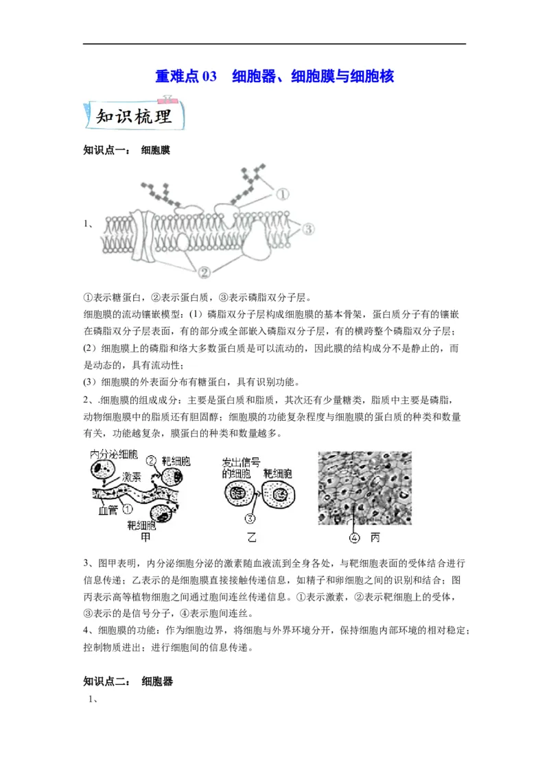 重难点03细胞器、细胞膜与细胞核（解析版）_通用版（老高考）复习资料_2023年复习资料_专项复习_2023年高考生物热点&middot;重点&middot;难点专练（全国通用）
