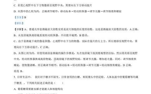 重庆市渝西中学2025-2026学年高一上学期10月月考生物试题Word版含解析_2025年10月高一试卷_251030重庆市渝西中学2025-2026学年高一上学期10月月考