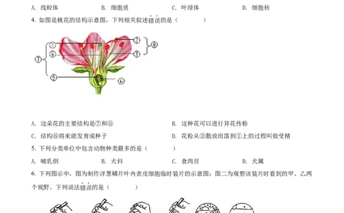 精品解析：2022年湖南省邵阳市中考生物真题（原卷版）_6生物中考复习_2025中考复习资料_中考真题（近三年）_2022年生物中考真题114份_精品解析：2022年湖南省邵阳市中考生物真题