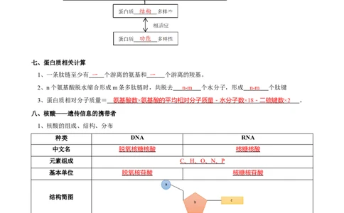 题型1细胞的分子组成及其功能（核心知识）（解析版）_新高考复习资料_2023年新高考复习资料_二轮复习_技巧点拨备战2023年高考生物二轮题型复习讲解286731240