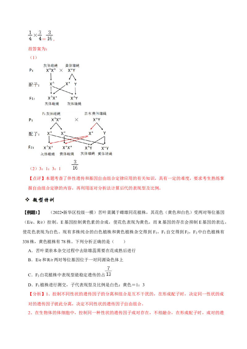 题型12快速突破基因的自由组合定律（题型归纳）-技巧点拨备战2023年高考生物二轮题型复习讲解（解析版）_新高考复习资料_2023年新高考复习资料_二轮复习