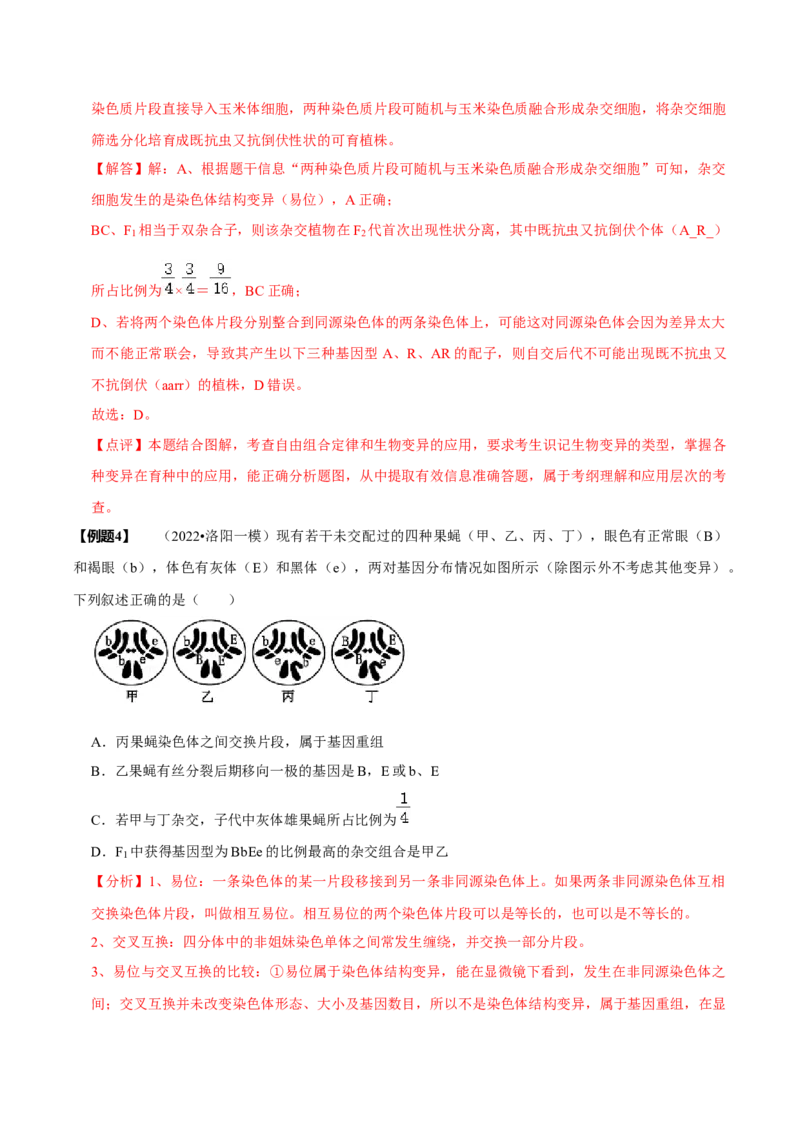 题型12快速突破基因的自由组合定律（题型归纳）-技巧点拨备战2023年高考生物二轮题型复习讲解（解析版）_新高考复习资料_2023年新高考复习资料_二轮复习