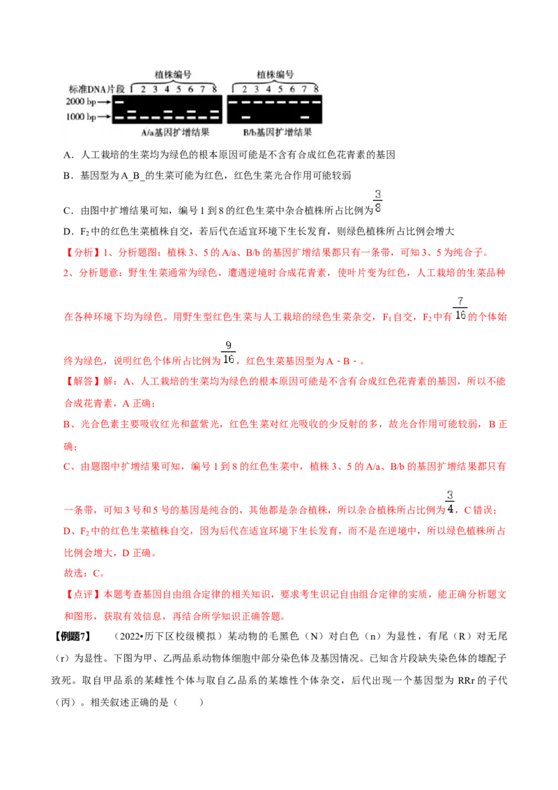 题型12快速突破基因的自由组合定律（题型归纳）-技巧点拨备战2023年高考生物二轮题型复习讲解（解析版）_新高考复习资料_2023年新高考复习资料_二轮复习