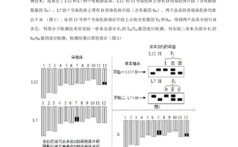 题型12快速突破基因的自由组合定律（题型归纳）-技巧点拨备战2023年高考生物二轮题型复习讲解（解析版）_新高考复习资料_2023年新高考复习资料_二轮复习
