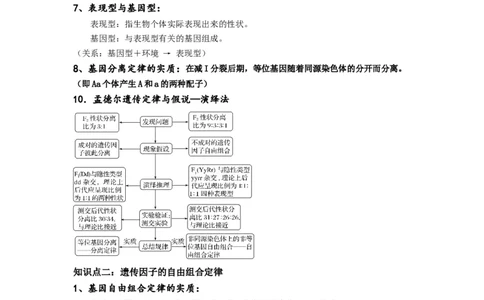 重难点08遗传因子的分离、自由定律（解析版）_通用版（老高考）复习资料_2023年复习资料_专项复习_2023年高考生物热点&middot;重点&middot;难点专练（全国通用）