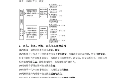 重难点08遗传因子的分离、自由定律（解析版）_通用版（老高考）复习资料_2023年复习资料_专项复习_2023年高考生物热点&middot;重点&middot;难点专练（全国通用）