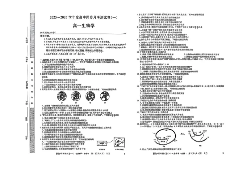 陕西省宝鸡市2025-2026学年高一上学期同步月考测试一（10月期中）生物试卷（扫描版，有答案）_2025年11月高一试卷_251103陕西省宝鸡市2025-2026学年高一上学期同步月考测试一（10月期中）