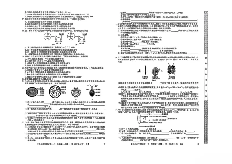 陕西省宝鸡市2025-2026学年高一上学期同步月考测试一（10月期中）生物试卷（扫描版，有答案）_2025年11月高一试卷_251103陕西省宝鸡市2025-2026学年高一上学期同步月考测试一（10月期中）